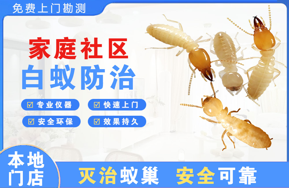 上饶家庭社区白蚁防治