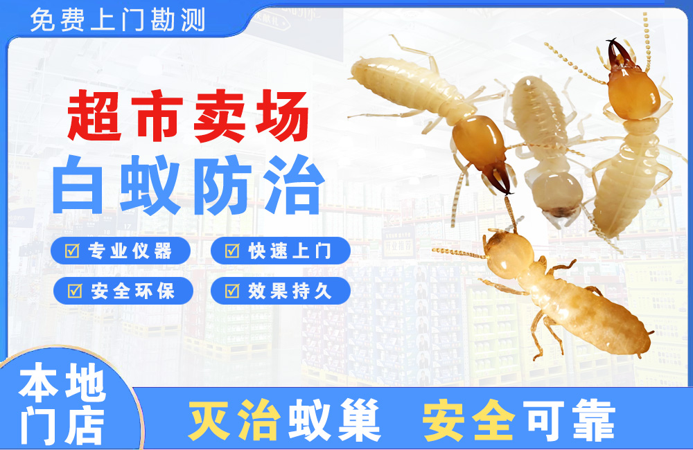 上饶超市卖场白蚁防治