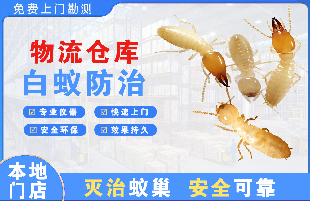 上饶物流仓库白蚁防治