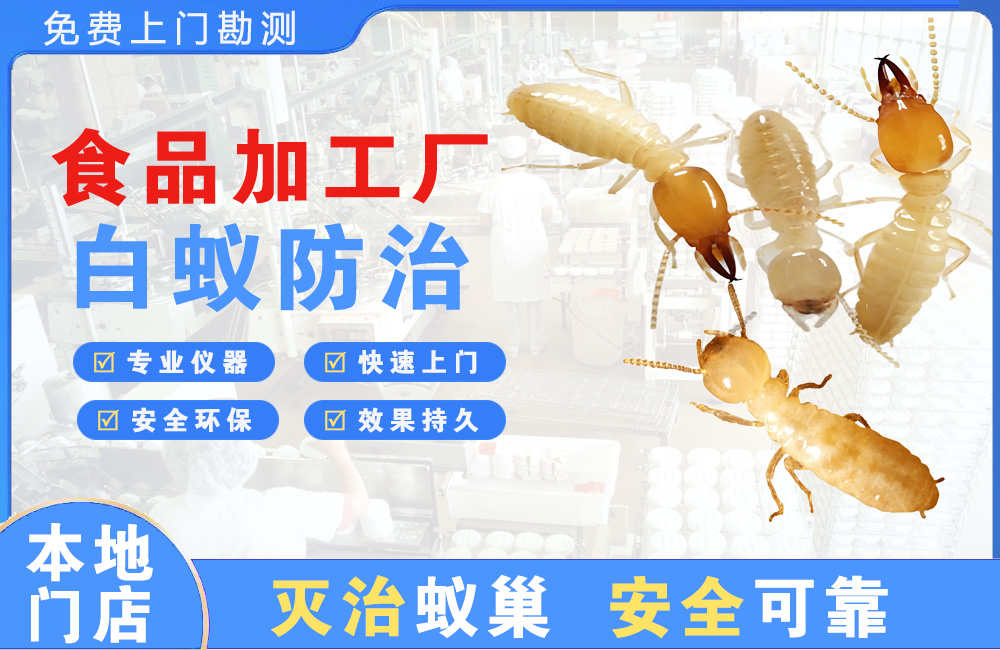 上饶食品加工厂白蚁防治