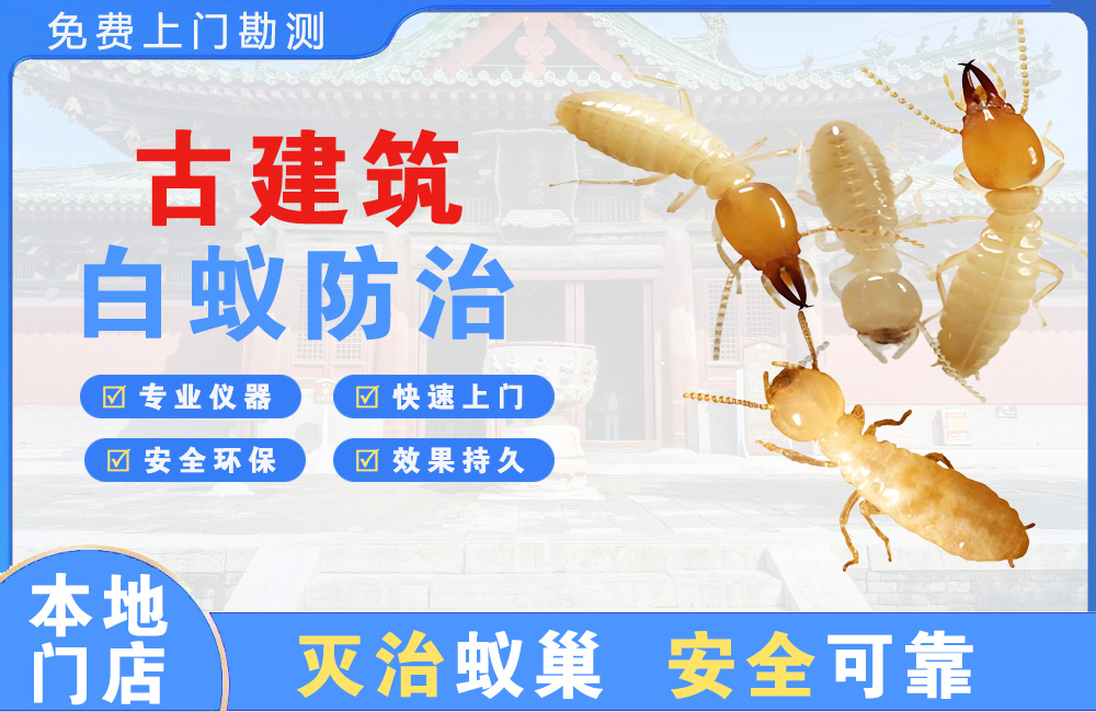 上饶古建筑白蚁防治