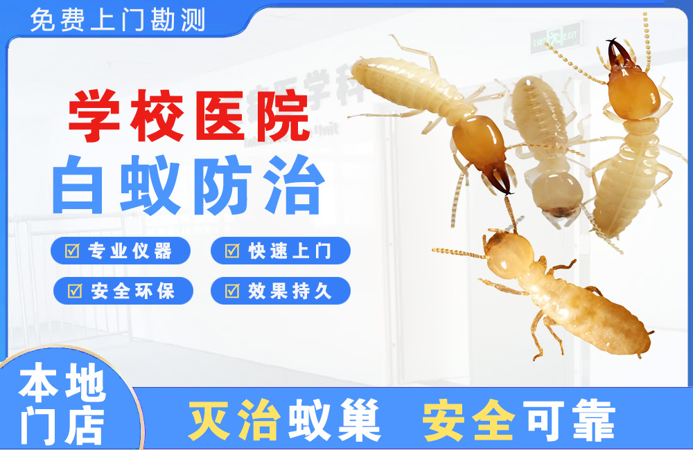 上饶学校医院白蚁防治