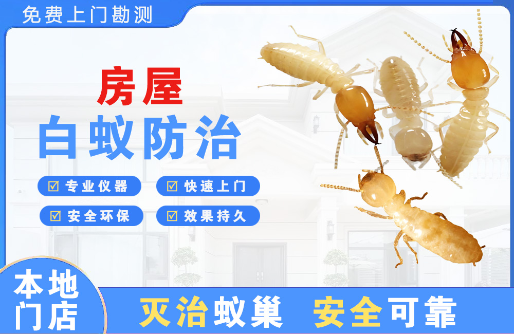 上饶房屋白蚁防治