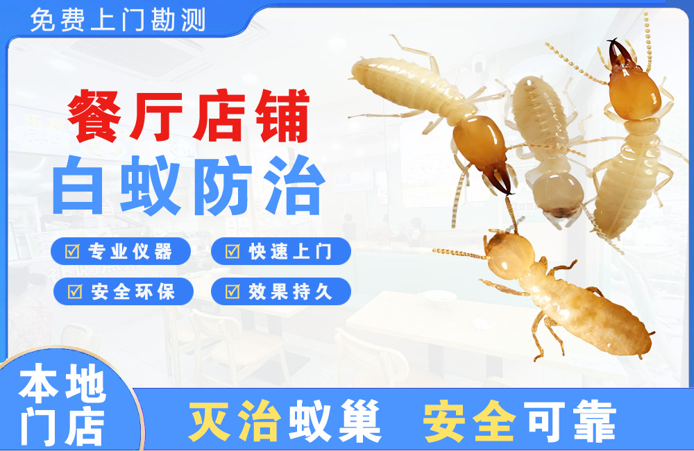 上饶餐厅店铺白蚁防治